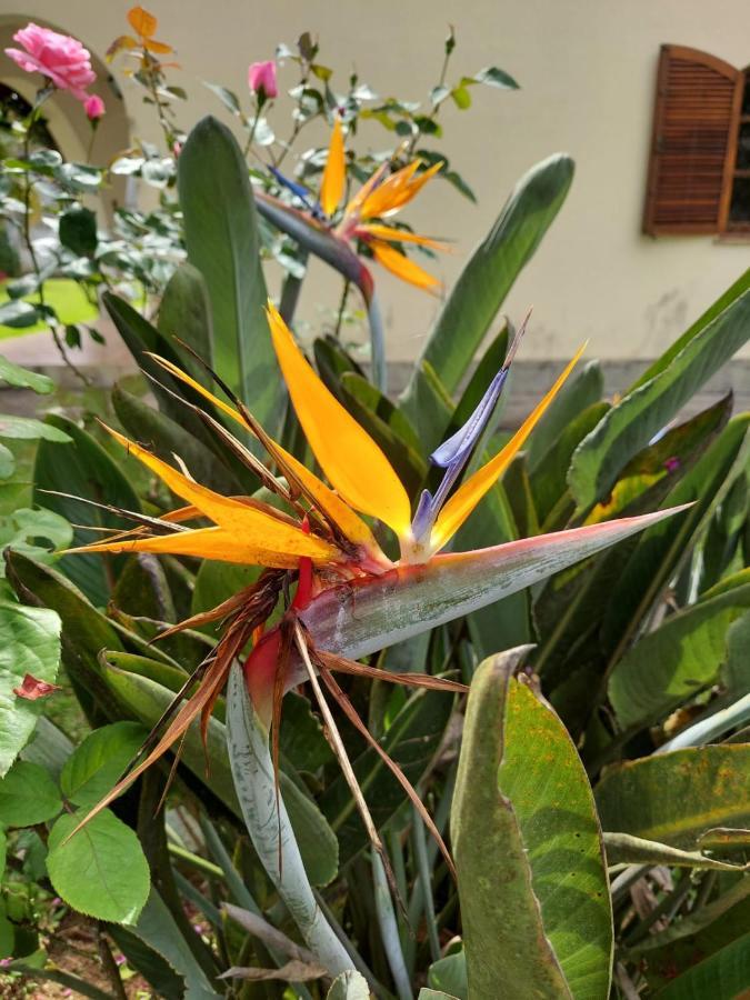 Casa Aconchegante - Circuito Teresopolis Friburgo Villa Dış mekan fotoğraf